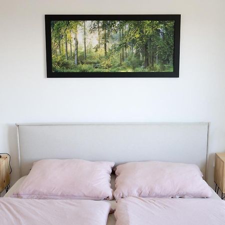 Teplice nad Metují Apartman Na Kamenci מראה חיצוני תמונה